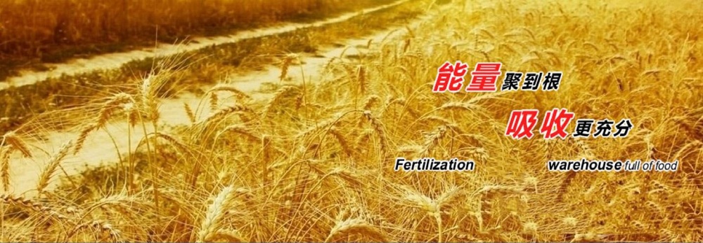 幻灯片广告二